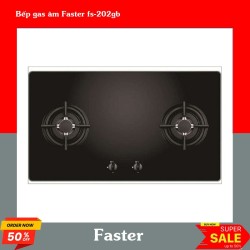 Bếp gas âm Faster fs-202gb