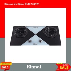 Bếp gas âm Rinnai RVB-2Gi(XW)