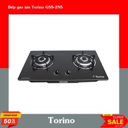 Bếp gas âm Torino GSS-2NS