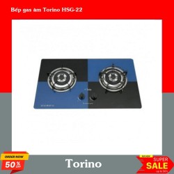 Bếp gas âm Torino HSG-22