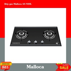 Bếp gas Malloca AS 920L