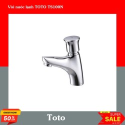 Vòi nước lạnh TOTO TS100N