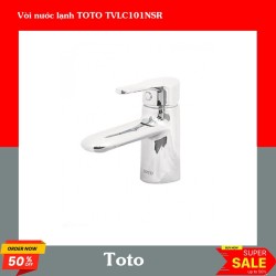 Vòi nước lạnh TOTO TVLC101NSR